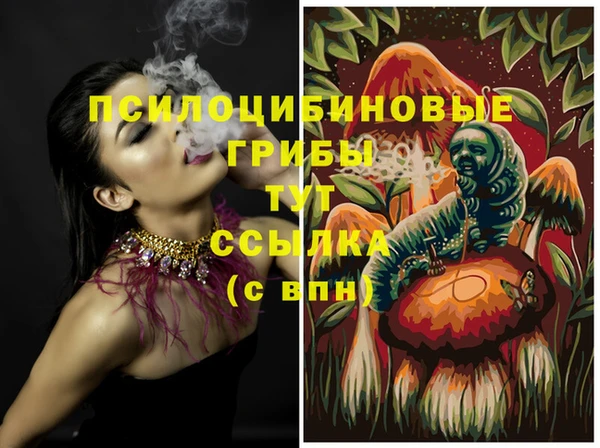 винт Баксан